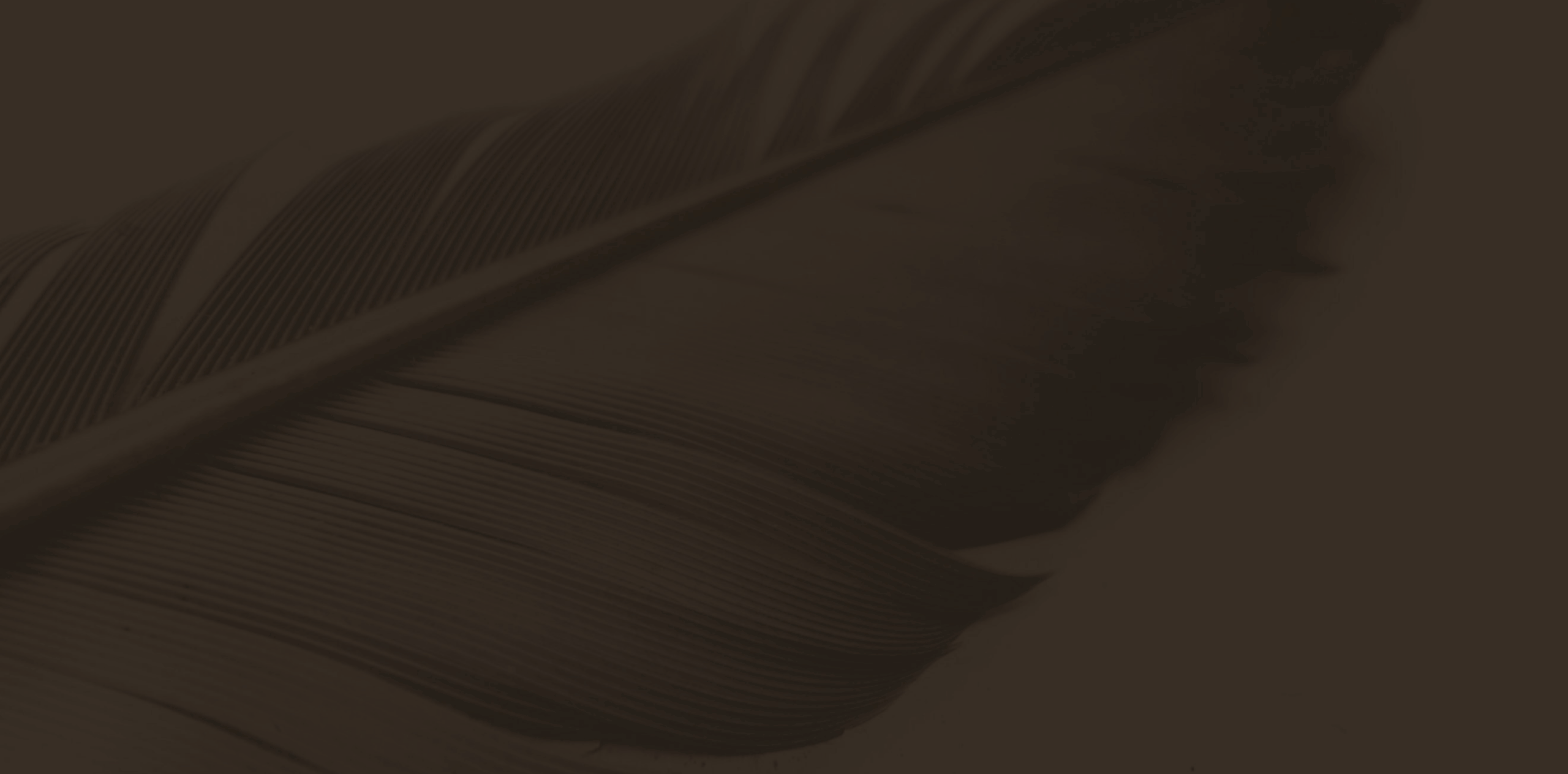 Artboard – 32