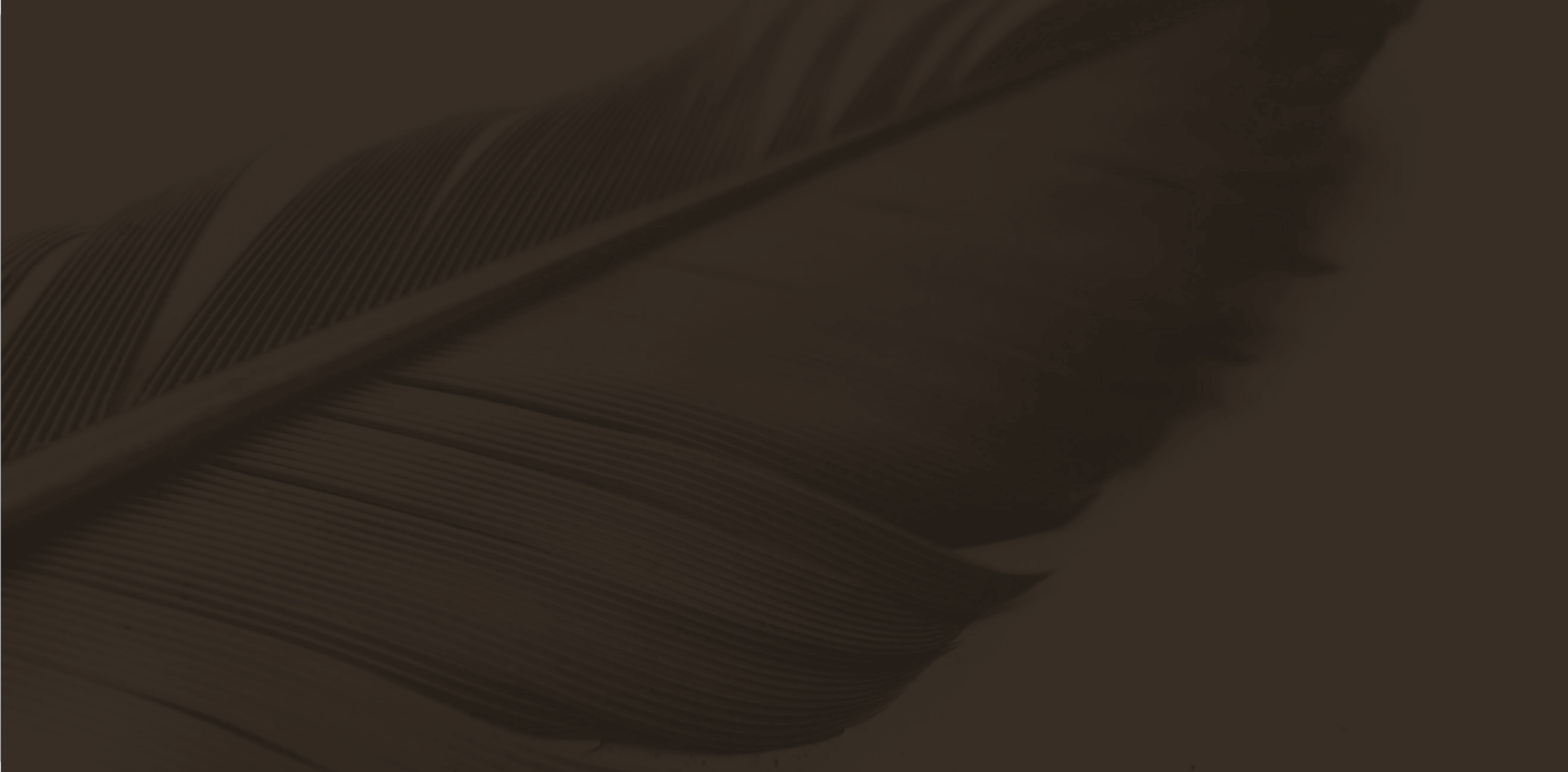 Artboard – 77